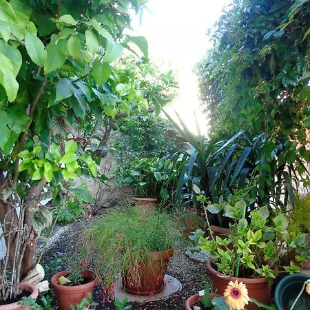 Apartment Anamaria